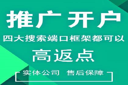 百度竞价代运营成功案例解析